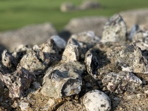 Stones of Old Sarum