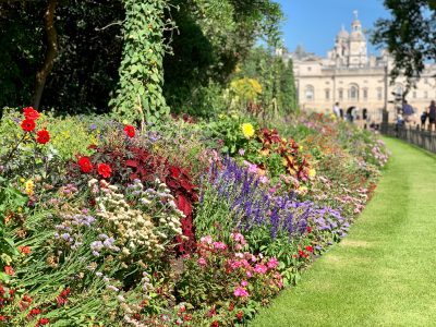 London St. James's Park Garden