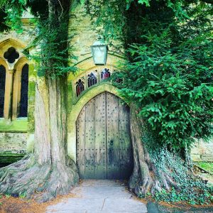 Stow On The Wold tree door